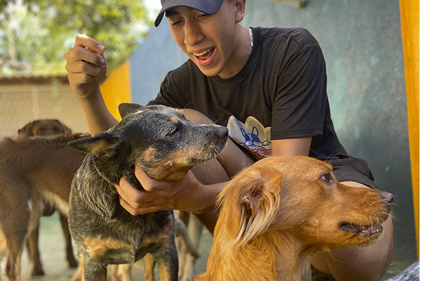 img-dog-discipline_0000_IMG_2557